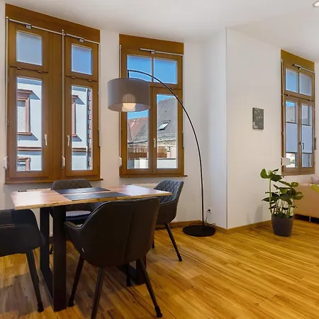 Breisgau Lofts - Naehe Europapark * Herbolzheim