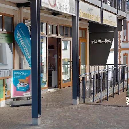 Breisgau Lofts - Naehe Europapark Apartament *